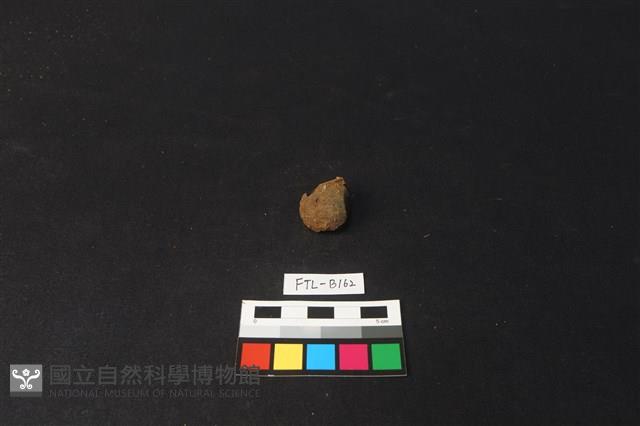 獸骨藏品圖，第1張