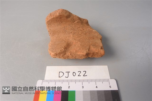 陶片藏品圖，第1張