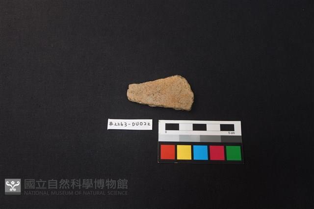 陶片藏品圖，第1張