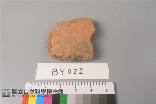 陶片藏品圖，第1張