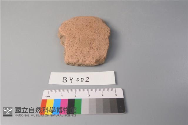 陶片藏品圖，第1張