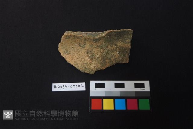 陶片藏品圖，第1張