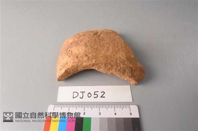 陶片藏品圖，第1張