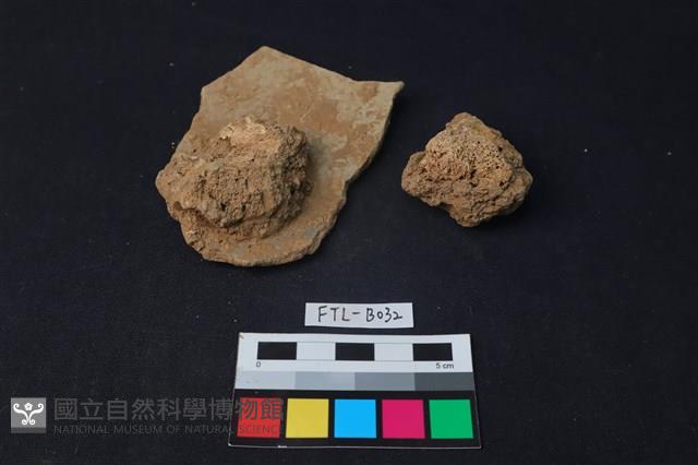 獸骨藏品圖，第1張