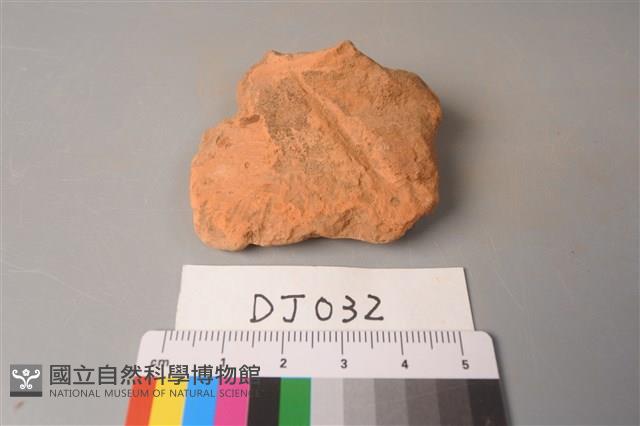 陶片藏品圖，第1張