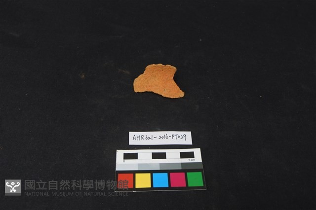 陶片藏品圖，第1張