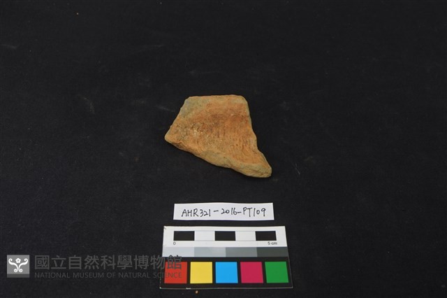 陶片藏品圖，第1張