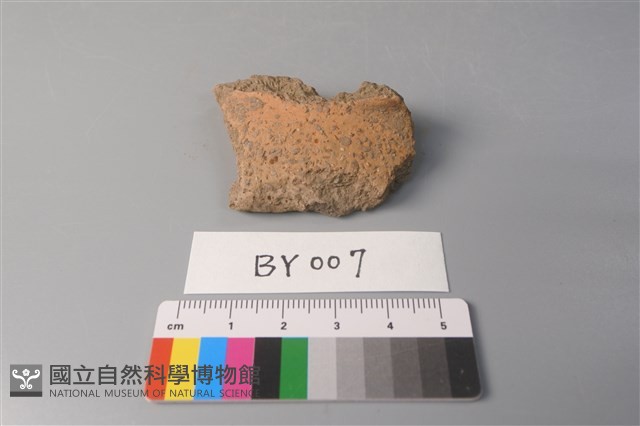 陶片藏品圖，第1張