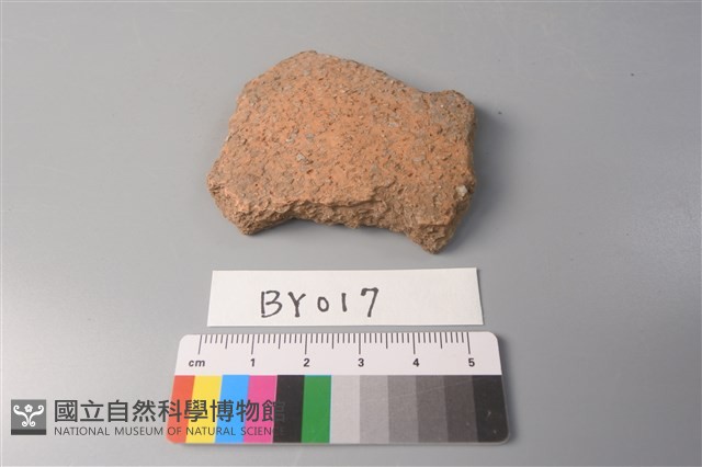 陶片藏品圖，第1張