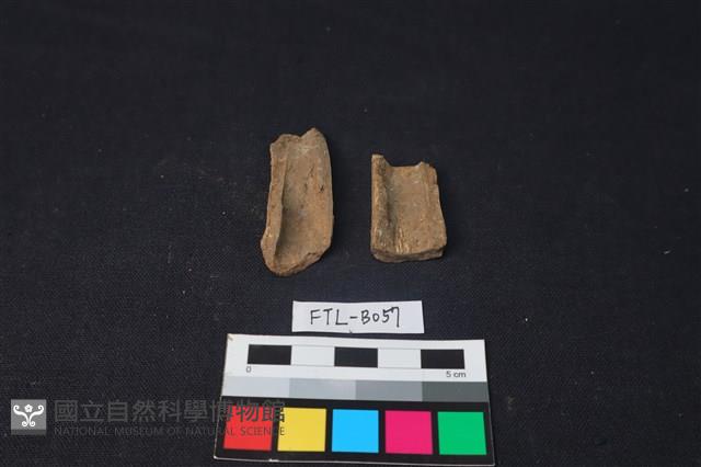 獸骨藏品圖，第1張