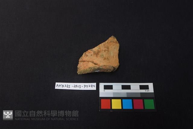 陶片藏品圖，第1張