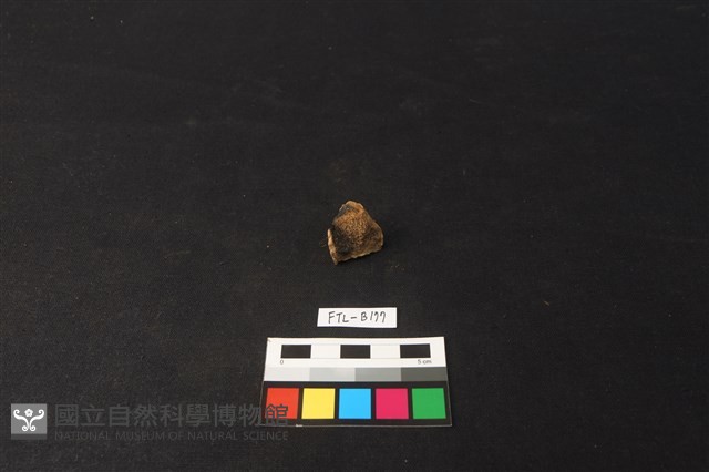 鹿骨藏品圖，第1張
