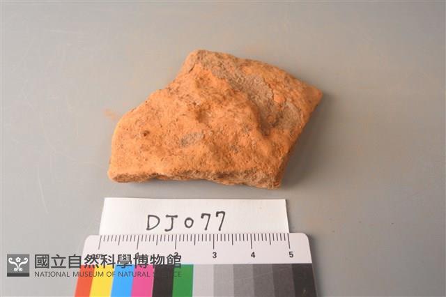 陶片藏品圖，第1張