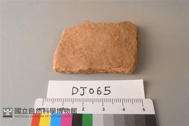 陶片藏品圖，第1張