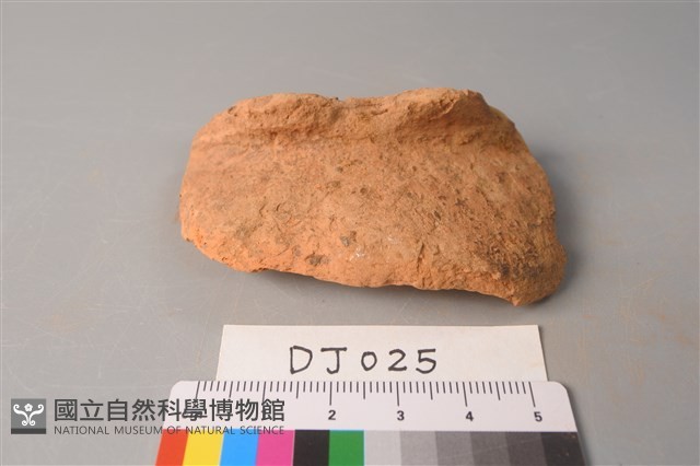 陶片藏品圖，第1張