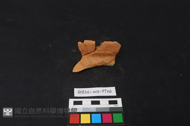 陶片藏品圖，第1張