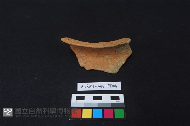 陶片藏品圖，第1張