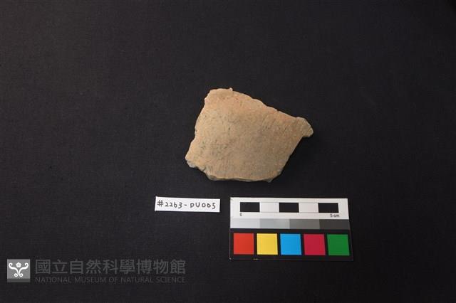 陶片藏品圖，第1張