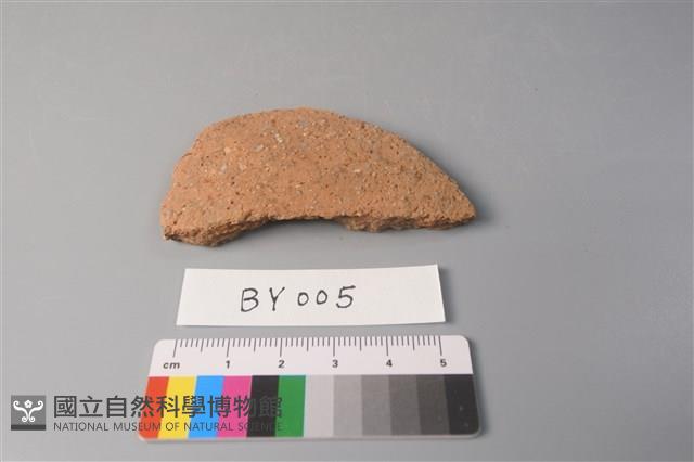 陶片藏品圖，第1張