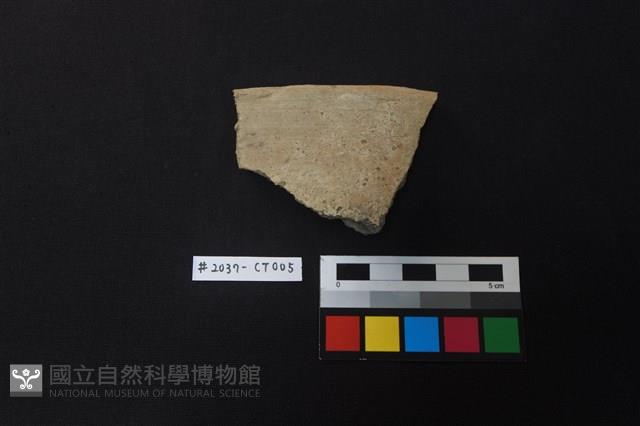 陶片藏品圖，第1張