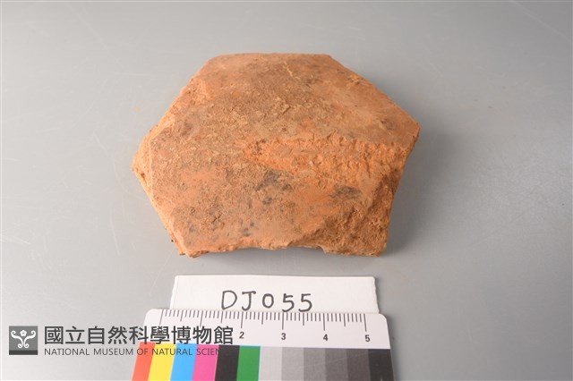陶片藏品圖，第1張