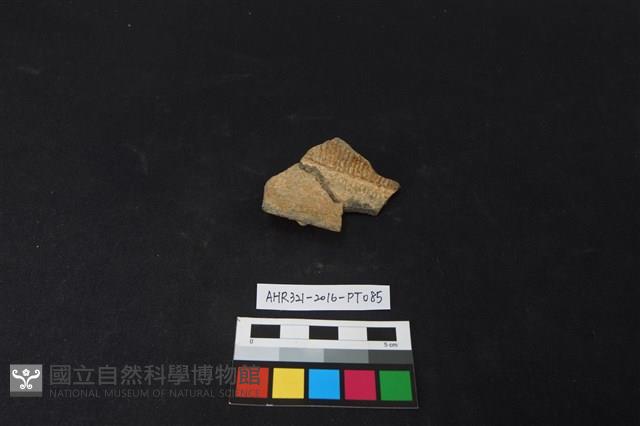 陶片藏品圖，第1張