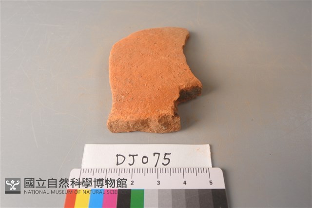 陶片藏品圖，第1張