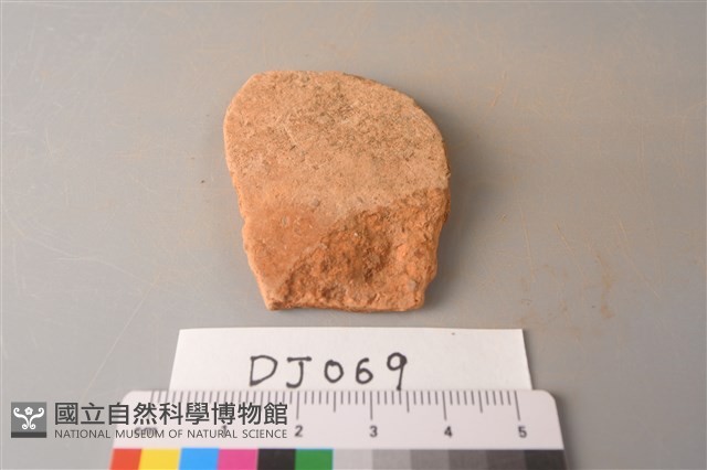 陶片藏品圖，第1張
