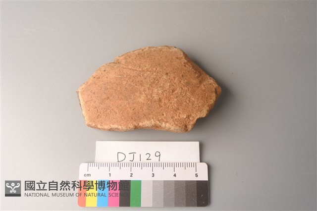 陶片藏品圖，第1張