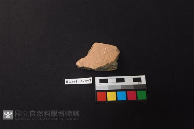 陶片藏品圖，第1張