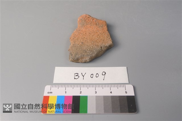 陶片藏品圖，第1張