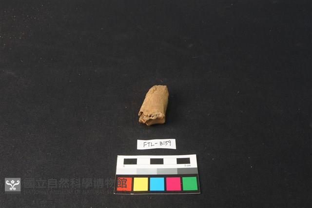 鹿骨藏品圖，第1張