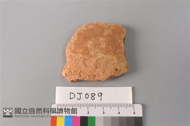 陶片藏品圖，第1張