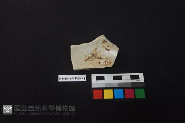 瓷盤藏品圖，第1張