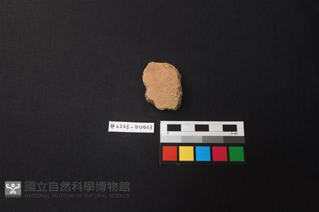 陶片藏品圖，第1張