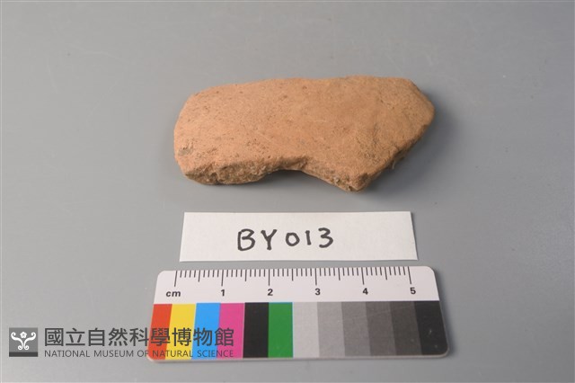 陶片藏品圖，第1張