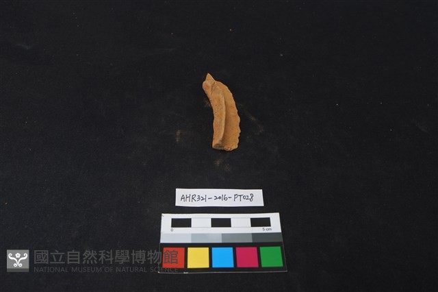 陶片藏品圖，第1張