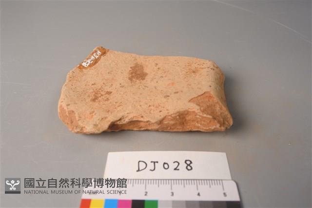 陶片藏品圖，第4張