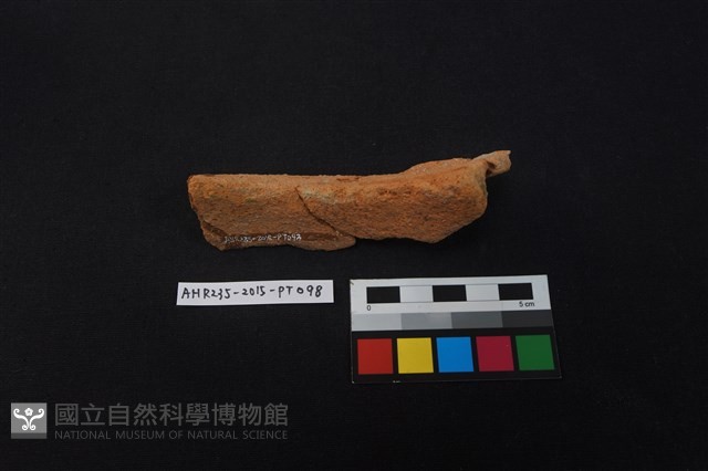 陶片藏品圖，第4張