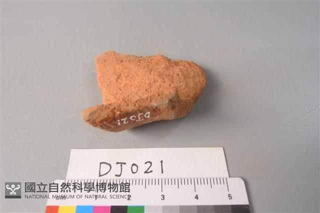 陶片藏品圖，第4張