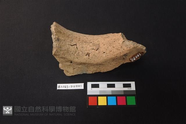 陶片藏品圖，第4張