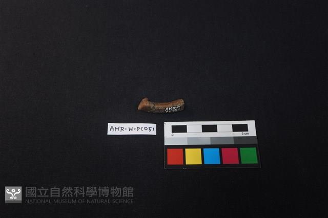 瓷把藏品圖，第4張