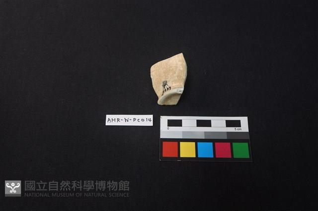 瓷片藏品圖，第4張