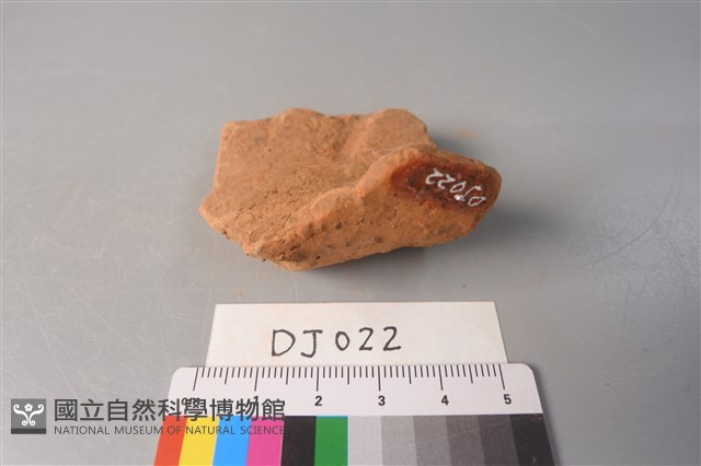 陶片藏品圖，第4張