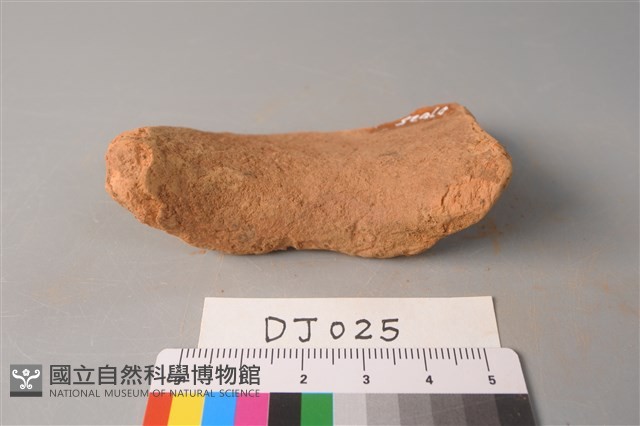 陶片藏品圖，第4張