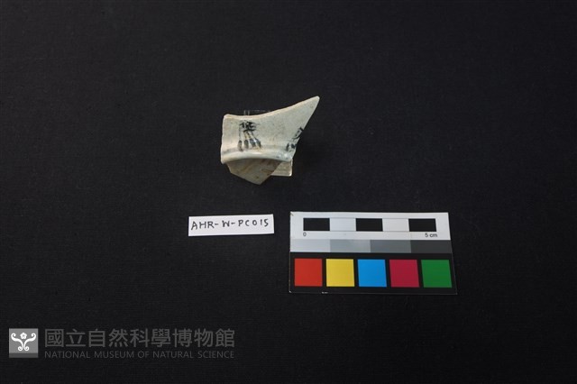 瓷片藏品圖，第4張