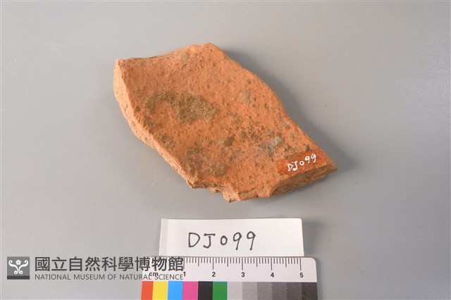 陶片藏品圖，第4張