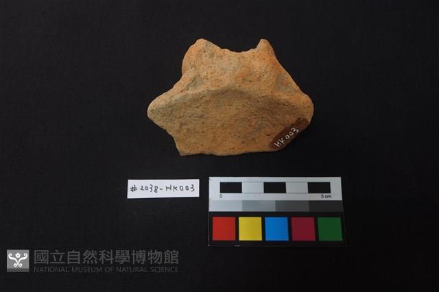 陶片藏品圖，第3張