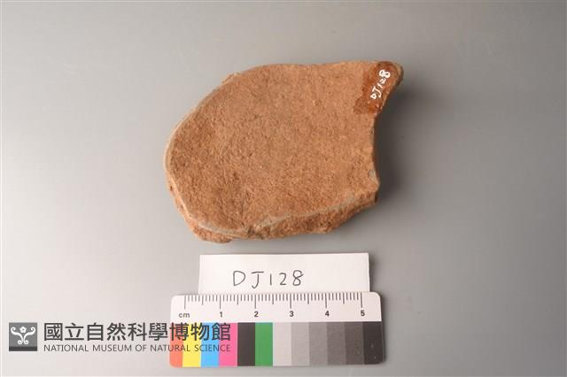 陶片藏品圖，第3張