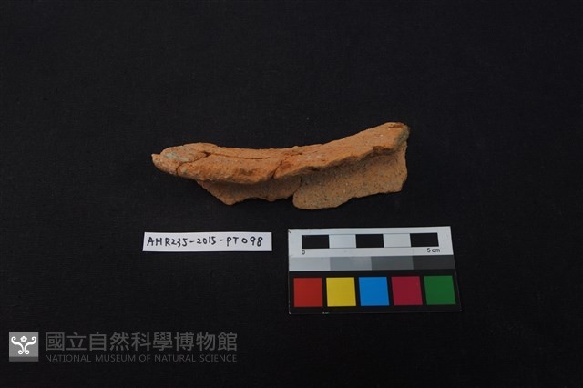 陶片藏品圖，第3張